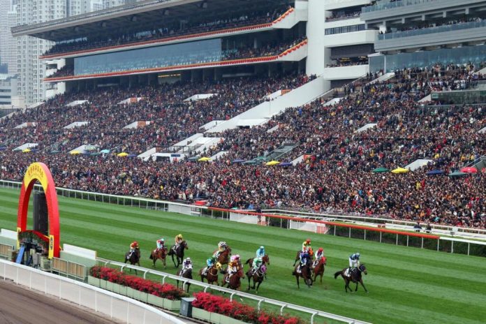 Sha Tin racing action.