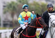 Victor The Winner tunes up for Takamatsunomiya Kinen bid Victor The Winner is a seven-time winner in Hong Kong.