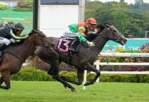 Commander Jones (Ryan Curatolo) knocks in his first win in the opener.