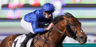 Real World won the Zabeel Mile two years ago.