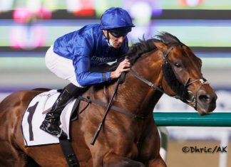 Real World won the Zabeel Mile two years ago.