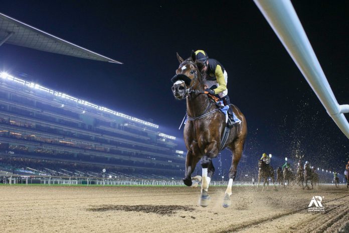 GDI5t7iWcAAOeHp He was once known as the ‘Russian Frankel’ and Tuz showed why with a stunning success in the G3 Dubawi Stakes – an early prep for the G1 Dubai Golden Shaheen.