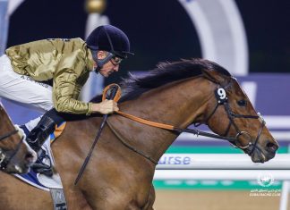 Ouzo aims to make it two in a row, having won the Lord North Handicap over the same 1800metres of turf a month ago.