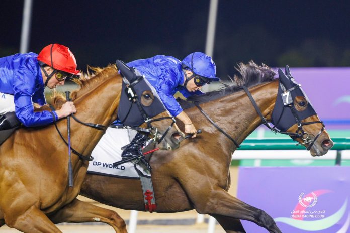 GERASoTWEAAggna Silver Lady gets the better of fancied stable mate English Rose in the G2 Cape Verdi Stakes.