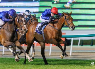 MAWJ winning at the 2023 Dubai Carnival