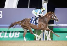 Kabirkhan stormed into the Dubai World Cup picture with a runaway victory in the $1million G1 Maktoum Challenge.