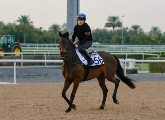 Trevaunance is a first Dubai runner for Moyglare Stud and has an impressive CV, having won four of her 14 starts, including the G2 Prix de la Nonette at Deauville in August.