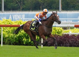 Gun (Jamil Sarwi) seen here at his first win on 9 December.