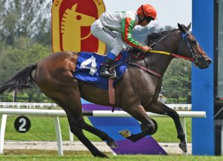 Loving Babe has hit the ground running in Malaysia.