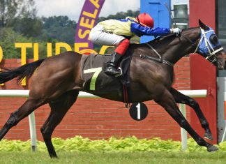 Michikawa can atone on Saturday.