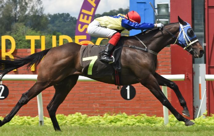 Michikawa Michikawa can atone on Saturday.