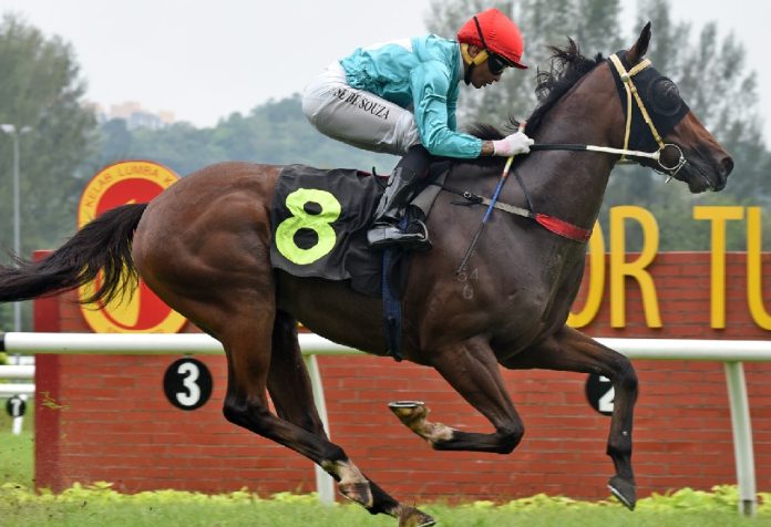 Military Flag is a horse on the rise in Malaysia.