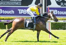 My Bella Mae finds a suitable race on Saturday.