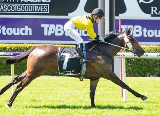 My Bella Mae finds a suitable race on Saturday.