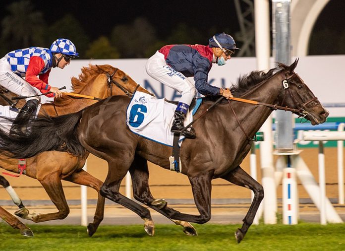 PevenseyBay-EmiratesRacing Pevensey Bay, the last overseas winner of the G2 Cape Verdi.