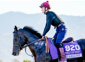 Starlust takes on the Al Wasl Stakes (Image Courtesy Breeders' Cup)