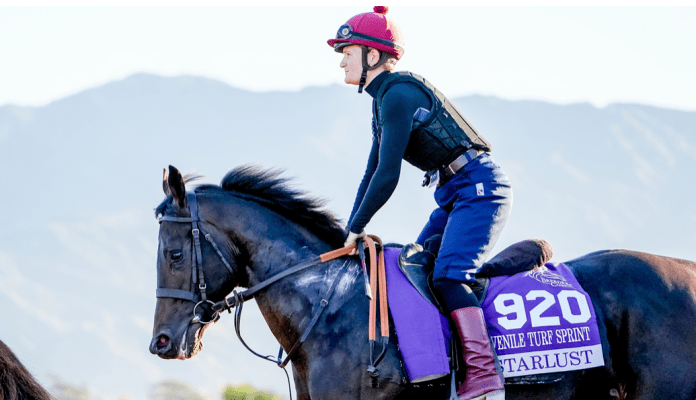 Starlust Starlust takes on the Al Wasl Stakes (Image Courtesy Breeders' Cup)