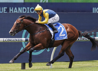 Storm Boy look set to go off as the shortest-pried favourite in Saturday's Golden Slipper.