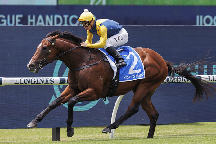Storm Boy look set to go off as the shortest-pried favourite in Saturday's Golden Slipper.