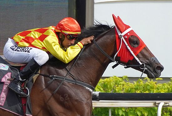 Strike-Gold-140124 Strike Gold (Bruno Queiroz) makes a beeline for the winning post in Race 9.