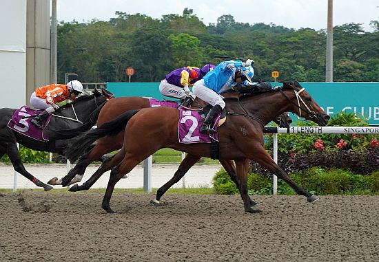 Super-Salute-060124 Super Salute (Manoel Nunes) wears down Lucky Jinsha (Zyrul Nor Azman) to win the Group 3 New Year Cup.
