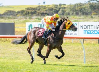 Devine Belief can continue her winning way in the west.