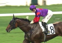 Blue Marlin just needs a gate to bounce back.