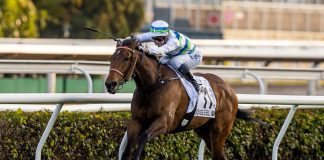 Voyage Bubble is Group 1-placed in Hong Kong.