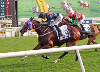 Whizz Kid steams to victory at Sha Tin.