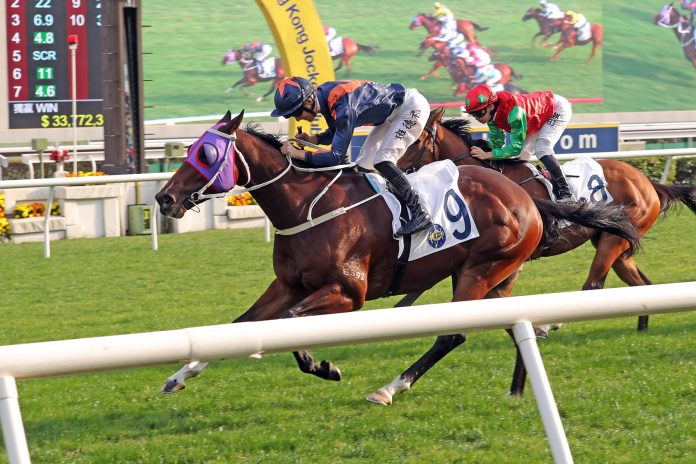 Whizz Kid steams to victory at Sha Tin.