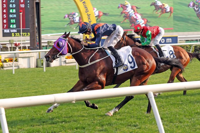 news_2024010701915_01 Whizz Kid steams to victory at Sha Tin.