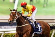 Cruz upbeat over California Spangle and Beauty Joy’s G1 Stewards’ Cup hopes California Spangle is chasing a second Group 1 success.