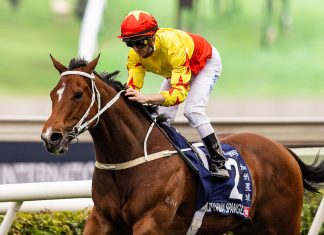 California Spangle is chasing a second Group 1 success.