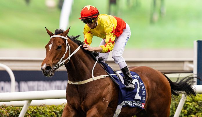 HKIR 11 DEC California Spangle is chasing a second Group 1 success.