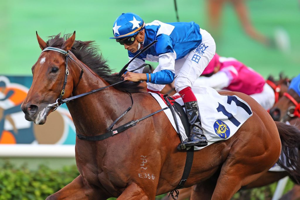 Lucky With You is a six-time winner in Hong Kong.