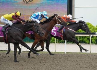 Major King, Super Salute & Pacific Emperor battled out the G3 Merlion Trophy.