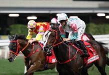 Jerry Chau looking ahead to big week as Chill Chibi returns in Hong Kong Classic Cup Chill Chibi salutes under Jerry Chau.