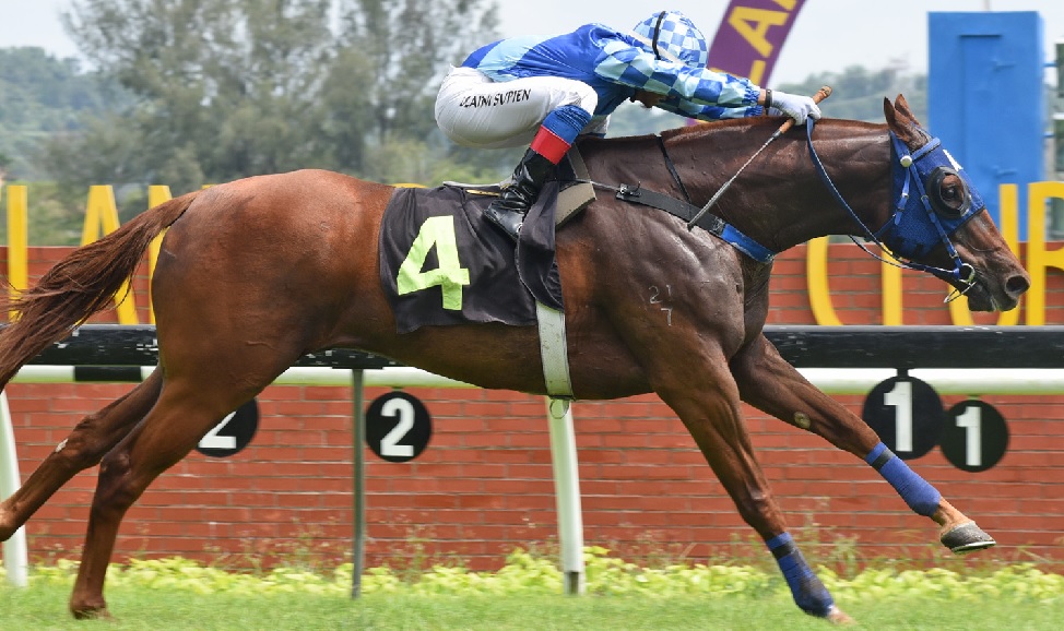 Captain Legacy has found career-best form since the move to Malaysia.