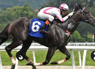 Captain Twentytwo is a horse on the up.
