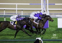 It was another Charlie Appleby masterclass on the Meydan turf when Warren Point provided the highlight of a sparkling four-timer.