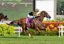 Golden Monkey (Chad Schofield) proves too strong for rivals in the Group 3 Fortune Bowl.