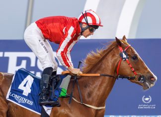 Manama Gold has been one of the stars of the Dubai season so far.