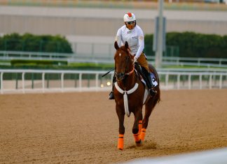 US Grade 2 winner Clapton aims for a G1 Dubai World Cup place on Emirates Super Saturday.