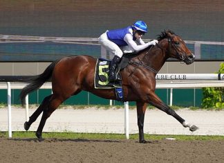 Ghalib (Manoel Nunes) seen here on 14 January.