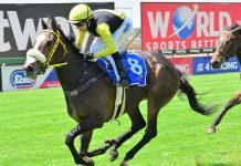 Guineas winners aimed at G1 Classics