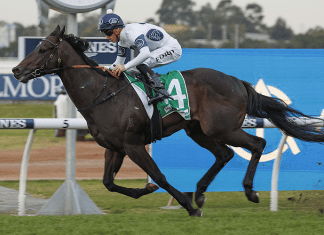 Amor Victorious can make his own luck out in front.