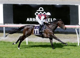 Group One winner La Crique. Photo: Trish Dunell