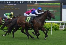 Nunes Makin hay while the sun shines Makin (Manoel Nunes) returns to winning ways in Race 10 on Saturday.