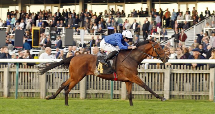 OTTOMAN FLEET Ottoman Fleet, second to stablemate Measured Time in the G1 Jebel Hatta last time out, will get the services of jockey William Buick.