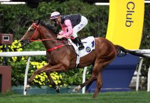 Purton lands Happy Valley treble to hit 70-win mark for 12th straight season Beauty Infinity gives Zac Purton a three-timer.